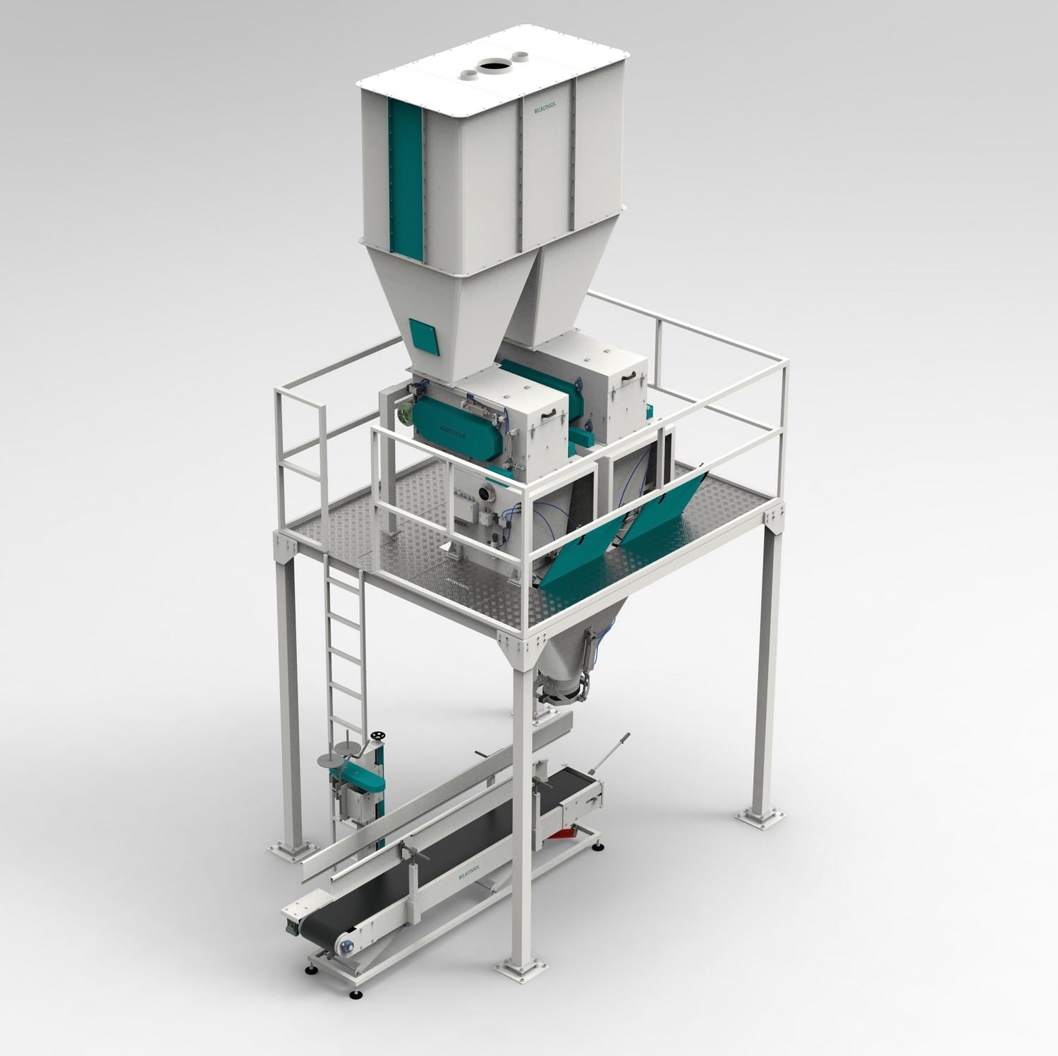 Double-Fill-Single-Spout-Feed-Bagging-Scale.jpg